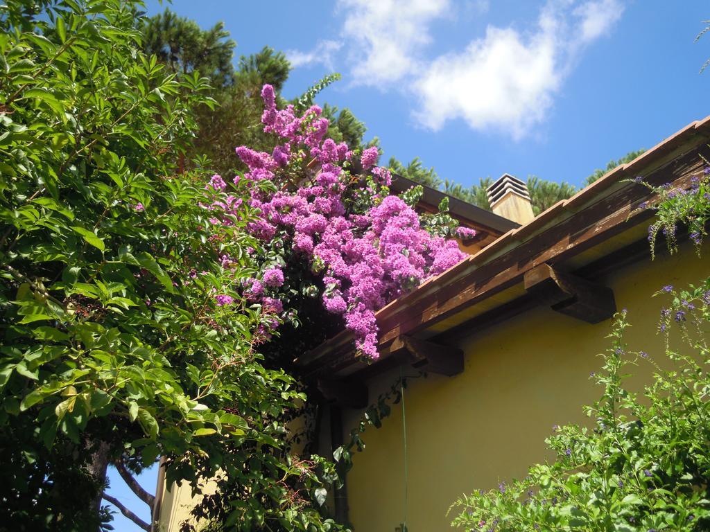 Casa Vacanze Vigna Di Valle Bracciano  Δωμάτιο φωτογραφία